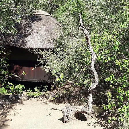 Off Beat Safaris Bush Lodge Hoedspruit Exterior foto
