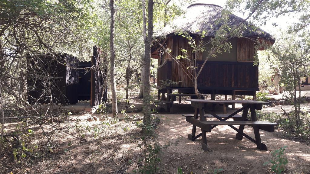 Off Beat Safaris Bush