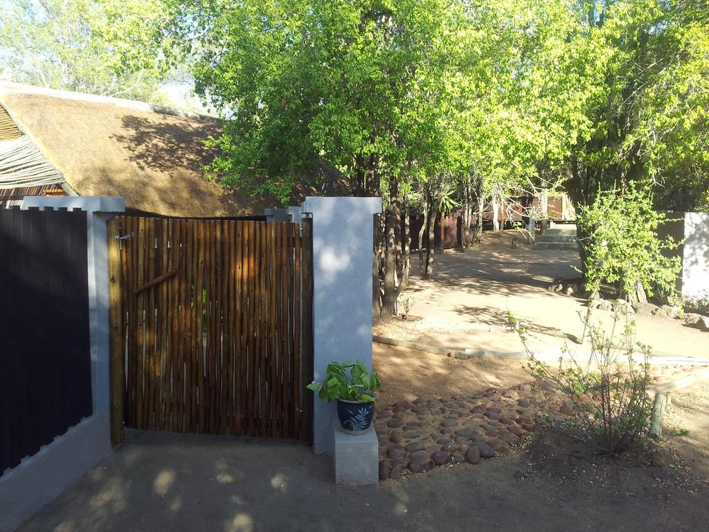Off Beat Safaris Bush