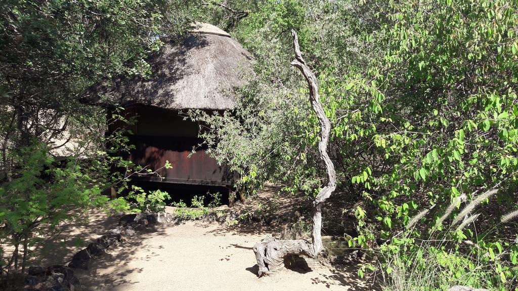 Lodge Off Beat Safaris Bush