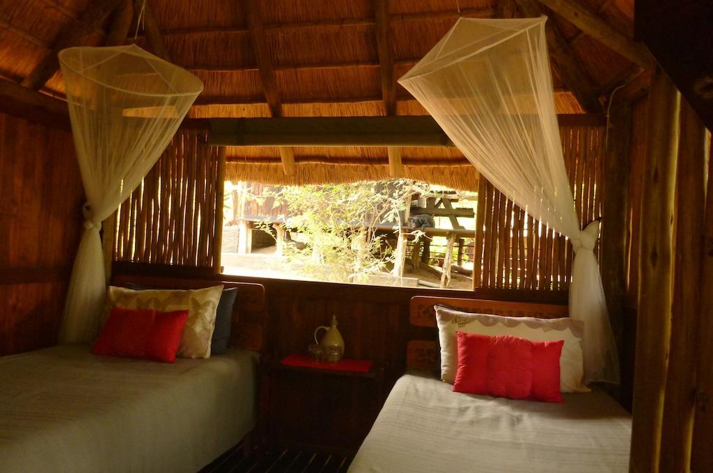 Off Beat Safaris Bush Hoedspruit
