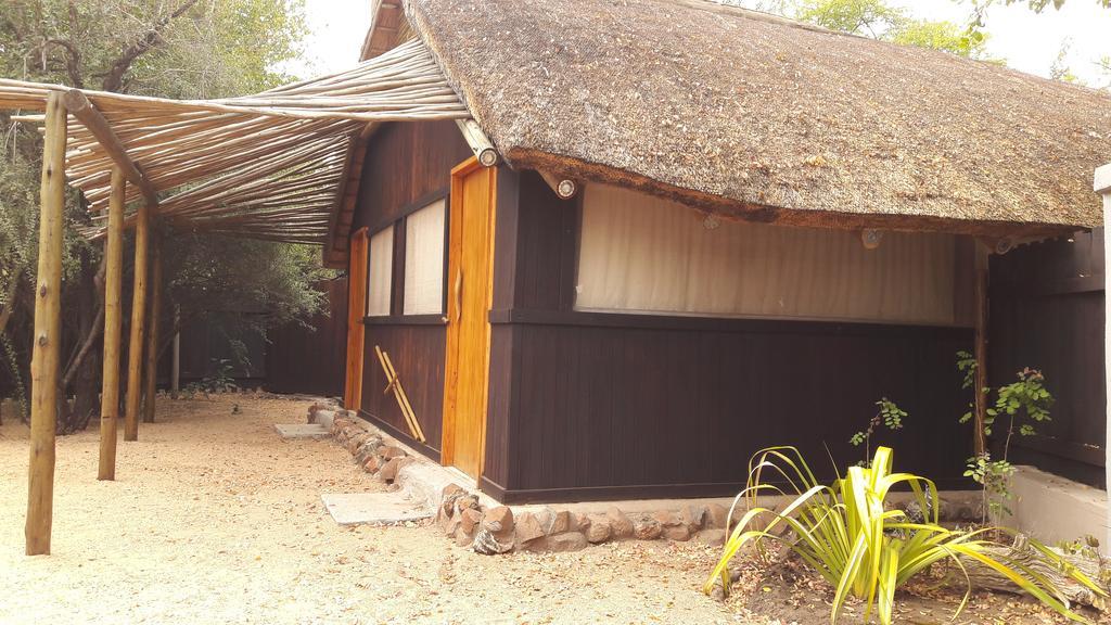 Lodge Off Beat Safaris Bush