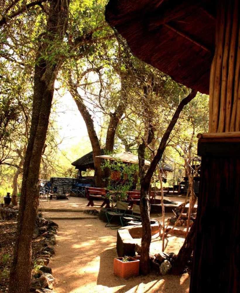 Off Beat Safaris Bush Lodge Hoedspruit