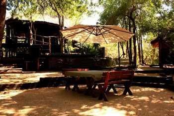 Off Beat Safaris Bush