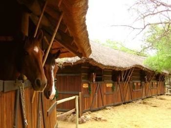 Off Beat Safaris Bush Lodge *