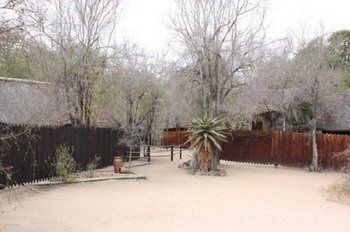 Off Beat Safaris Bush Lodge