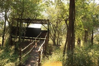 Off Beat Safaris Bush Hoedspruit