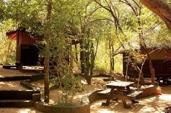 Off Beat Safaris Bush Hoedspruit