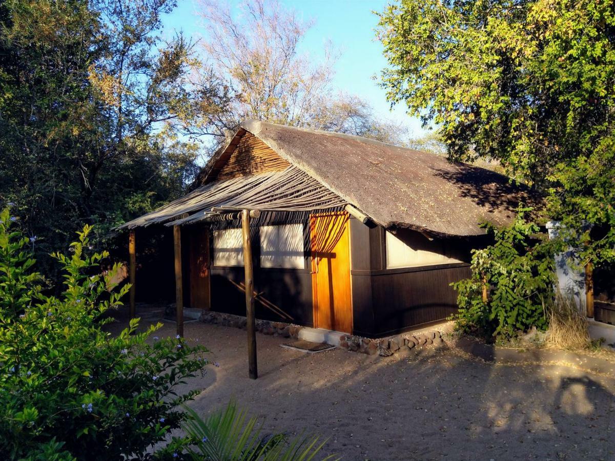 Off Beat Safaris Bush Hoedspruit