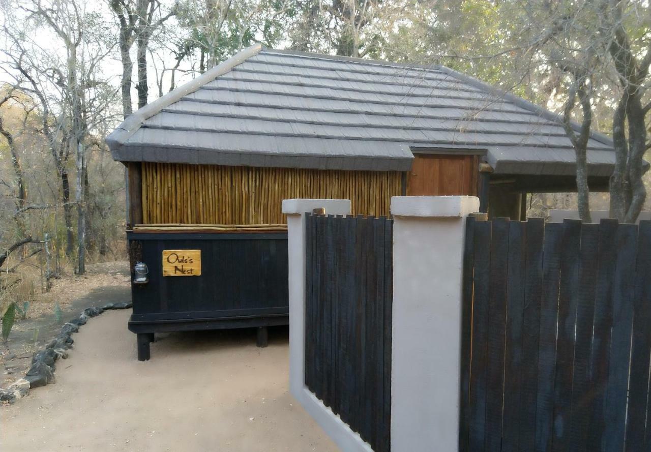 Lodge Off Beat Safaris Bush *