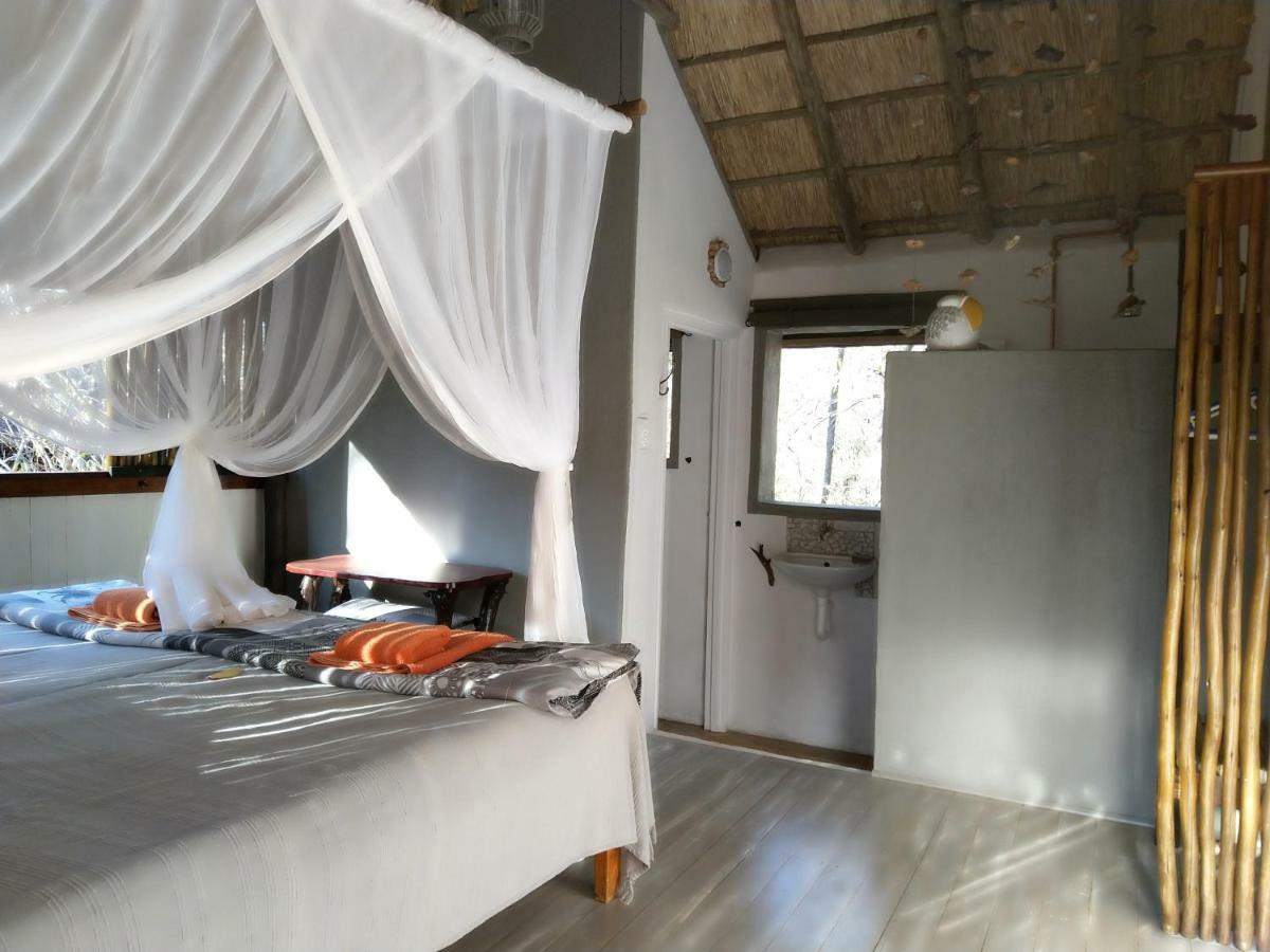 Off Beat Safaris Bush Lodge Hoedspruit