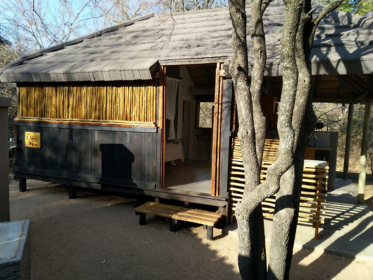 Lodge Off Beat Safaris Bush Hoedspruit