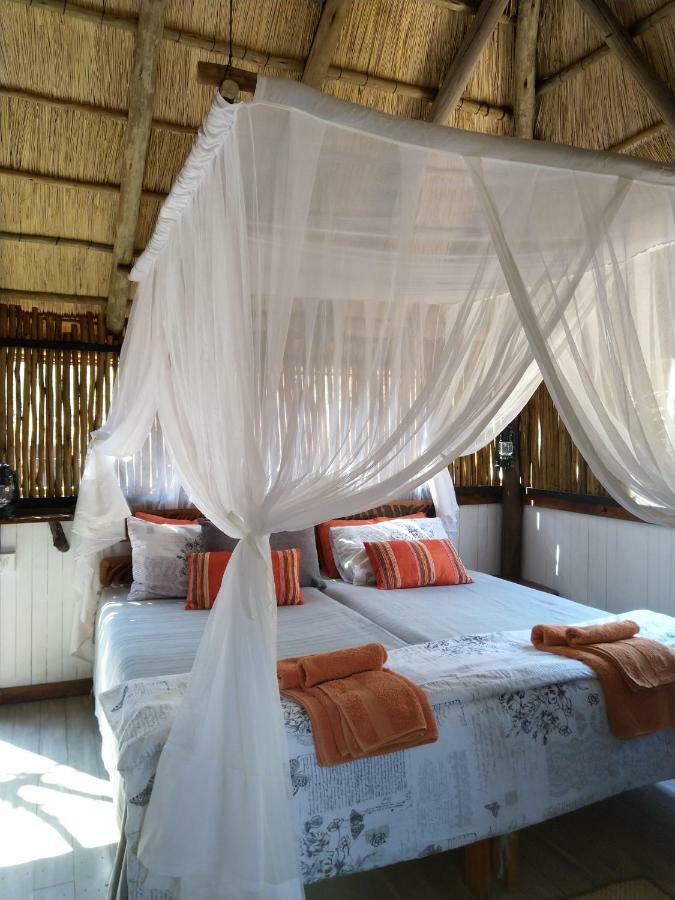 Lodge Off Beat Safaris Bush *