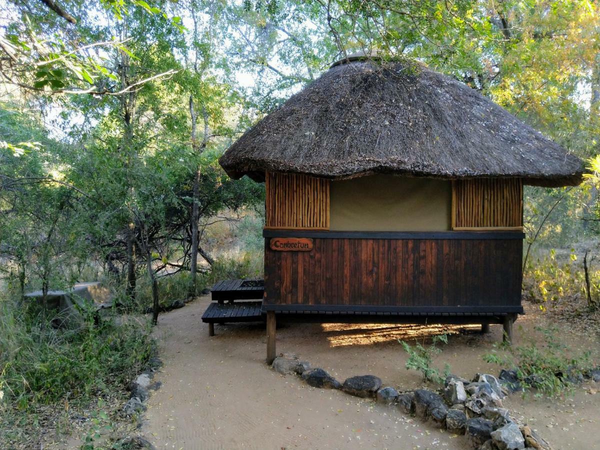 Off Beat Safaris Bush *