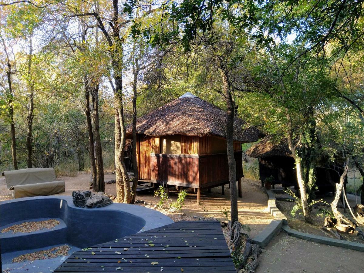 Off Beat Safaris Bush