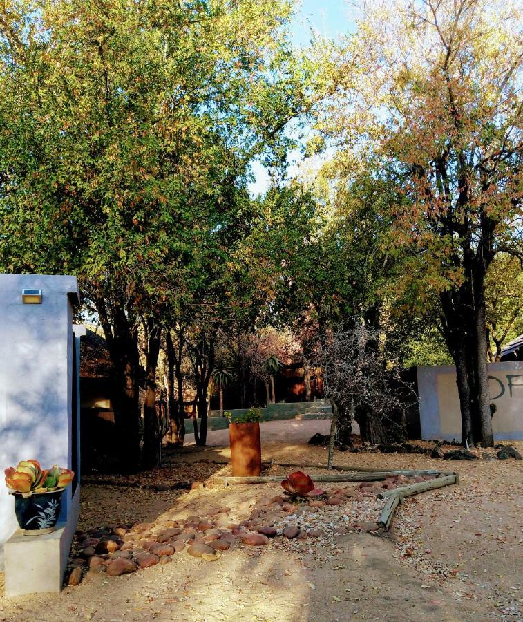 Lodge Off Beat Safaris Bush