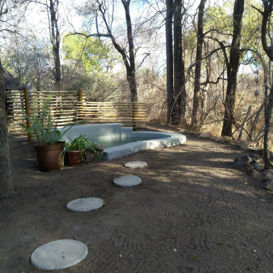 Lodge Off Beat Safaris Bush Hoedspruit
