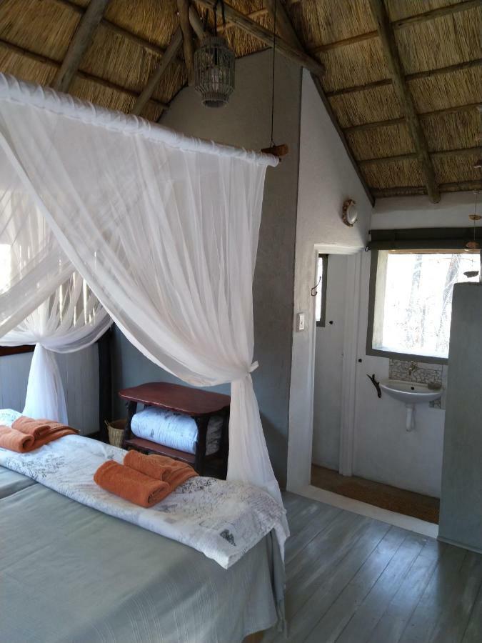 Off Beat Safaris Bush